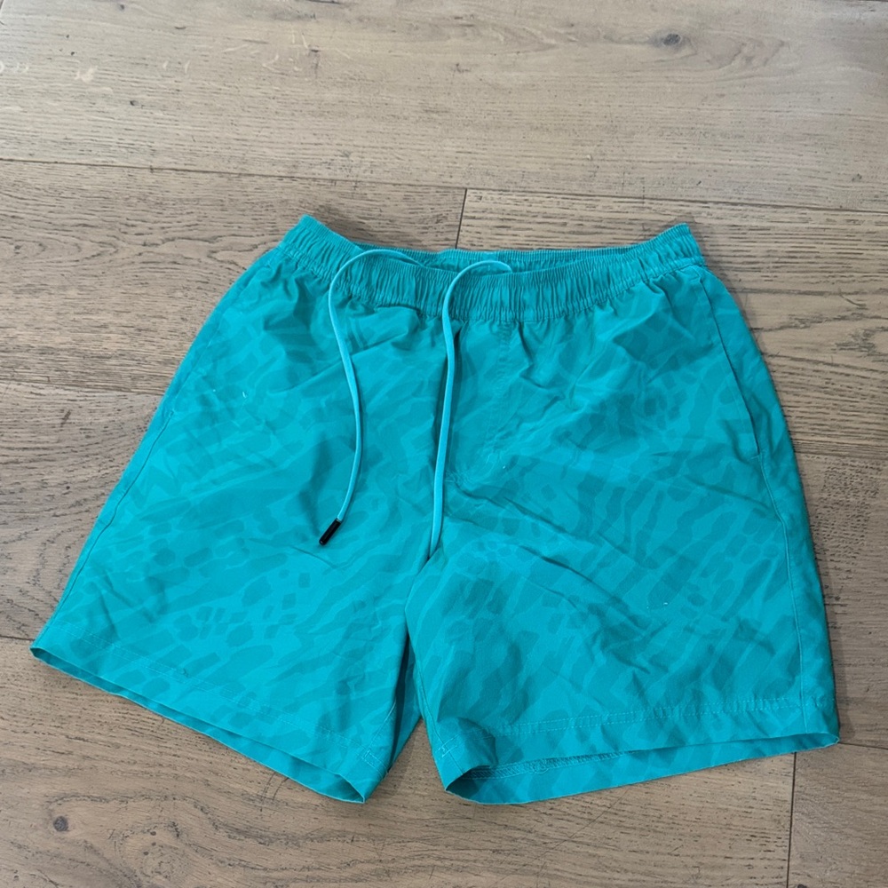 Chubbies Teal and White Swim Shorts
